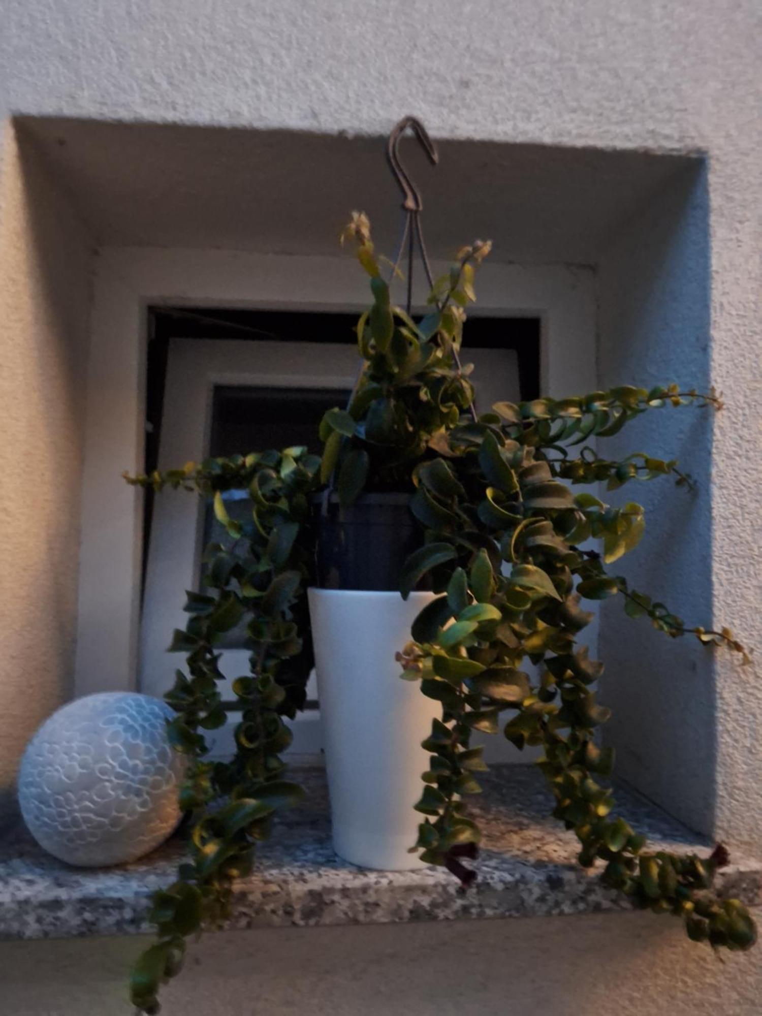 Studio Apartmani Louis I Lola Загреб Екстериор снимка